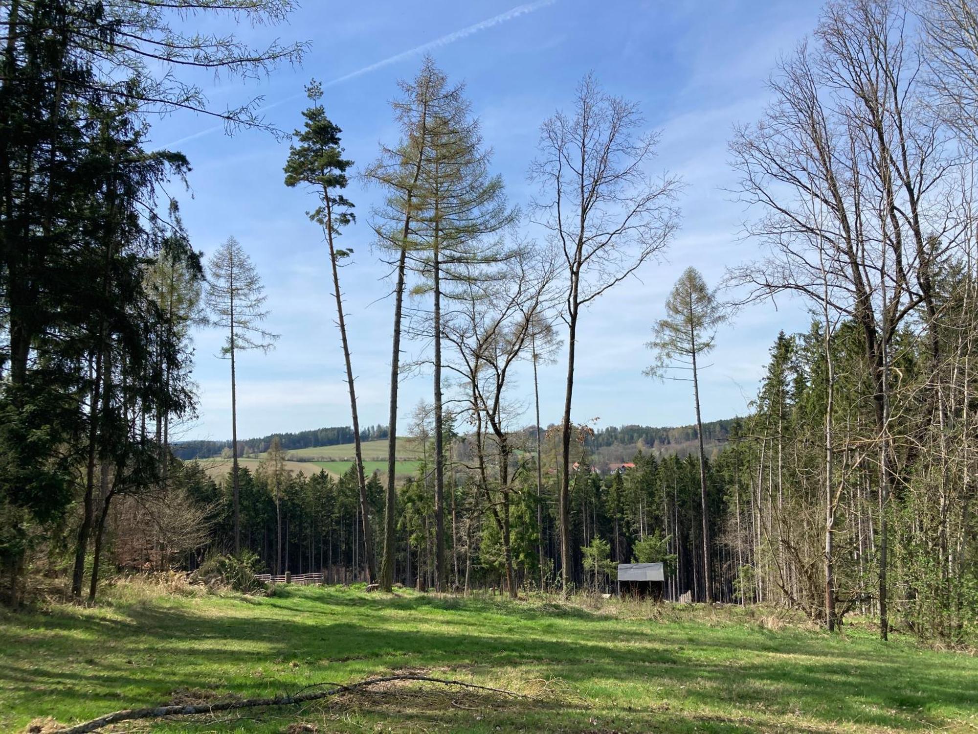 Stodola 63 Villa Pacov Bagian luar foto
